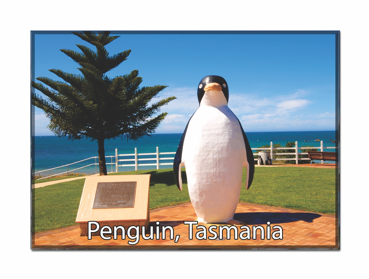 Penquin Tasmania 2