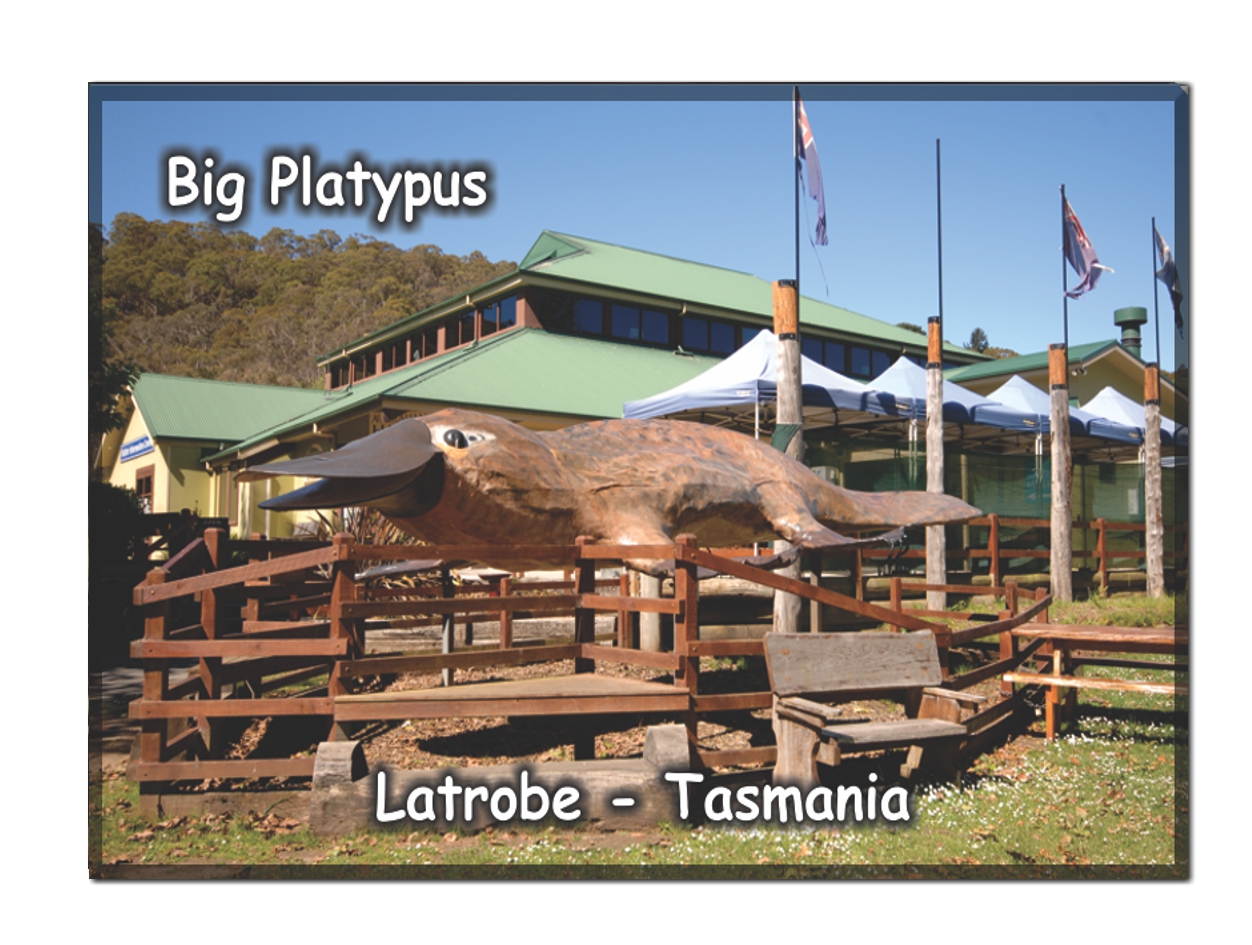 Big Platypus