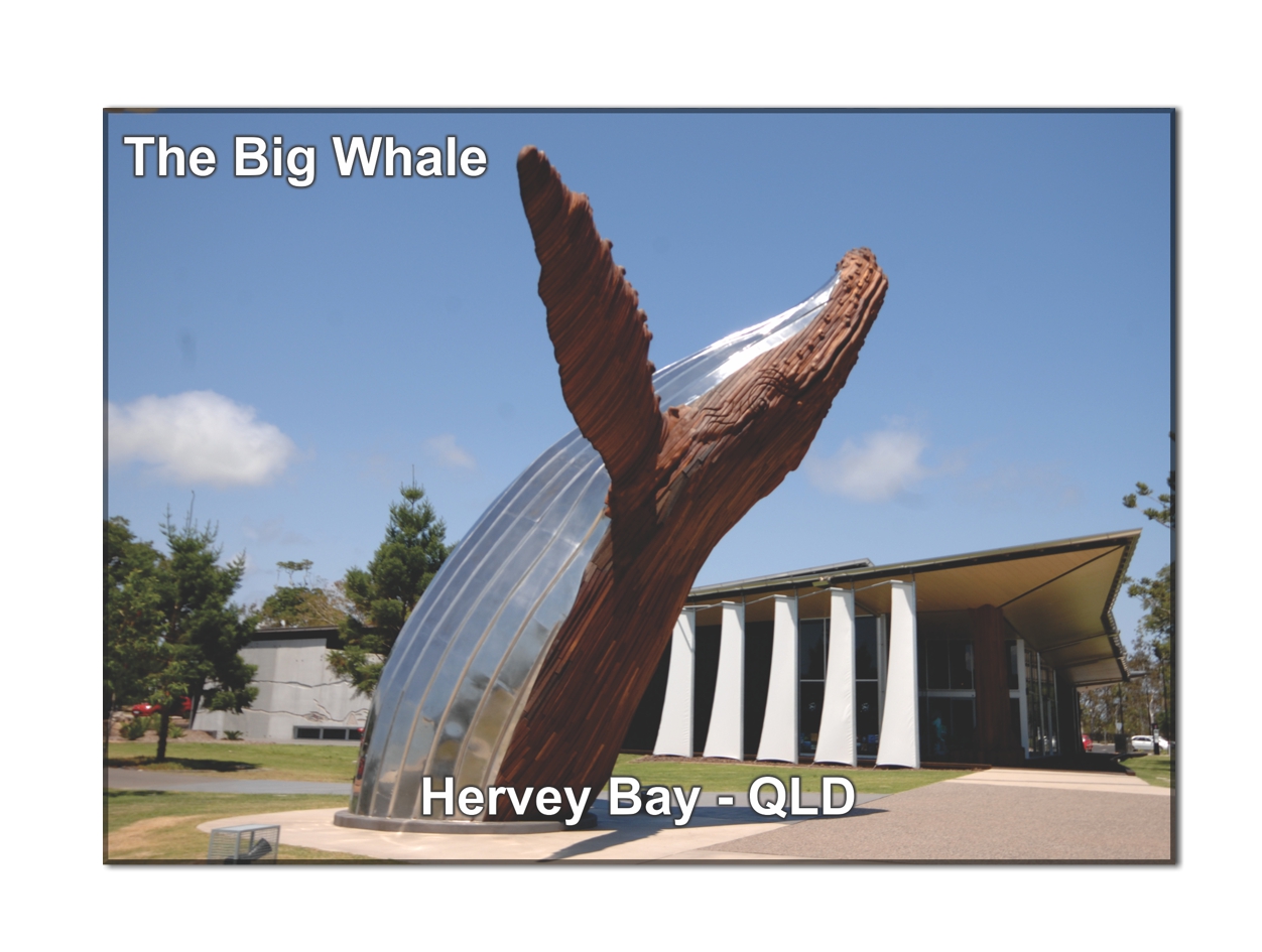 The Big Whale Magnet